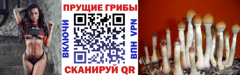 omg рабочий сайт  Алагир  Галлюциногенные грибы мухоморы  наркота 